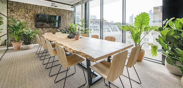 Văn phòng với không gian xanh cực kỳ mát mẻ, dịu mắt
