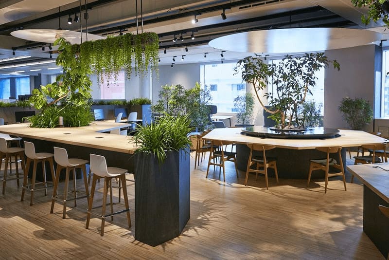 Thiết kế văn phòng 25m2 với không gian xanh giảm căng thẳng, mệt mỏi