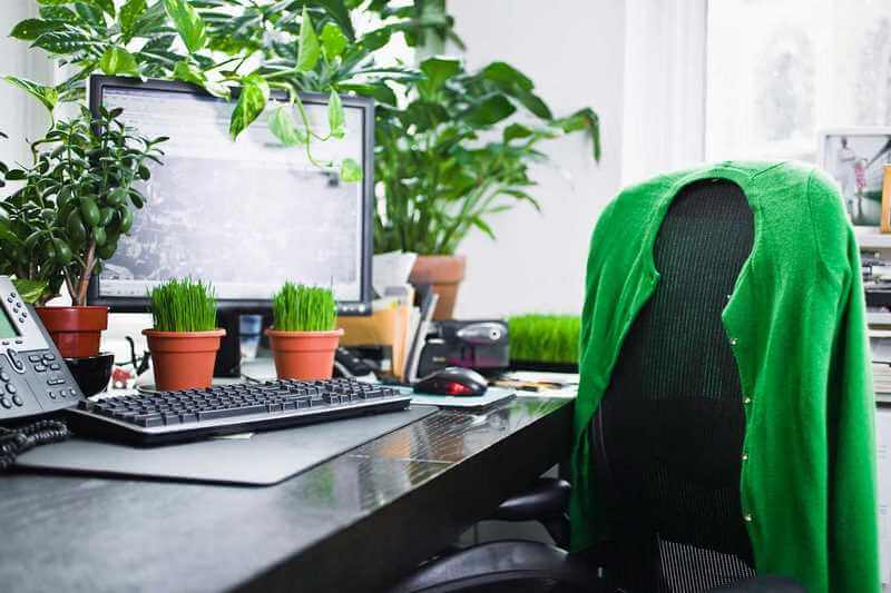 Trang trí bằng cây xanh tạo điểm nhấn và mang lại không khí mát mẻ cho chỗ làm