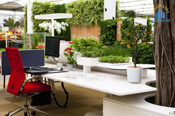 Những lý do nên trồng cây xanh trong văn phòng