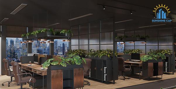 Thiết kế văn phòng xanh 50m2