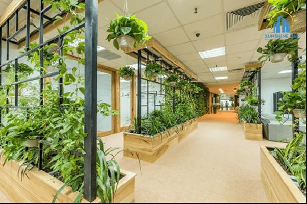 Kết hợp thiên nhiên vào trong không gian văn phòng