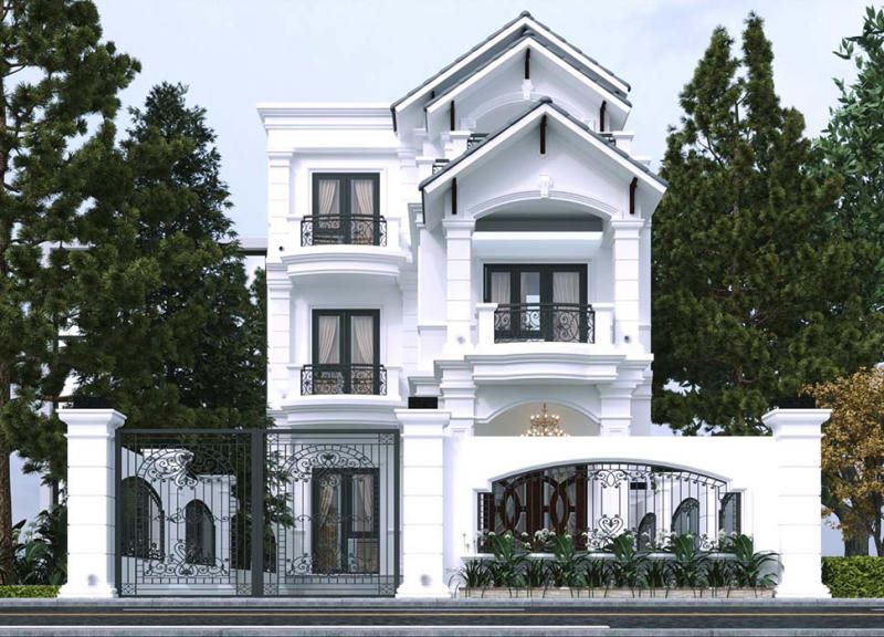 Mẫu số 5