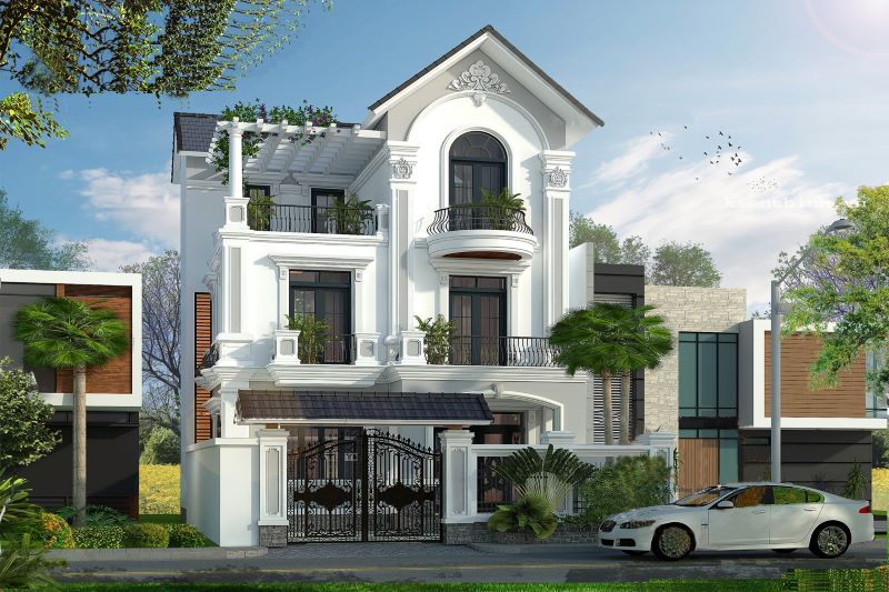 Mẫu số 5